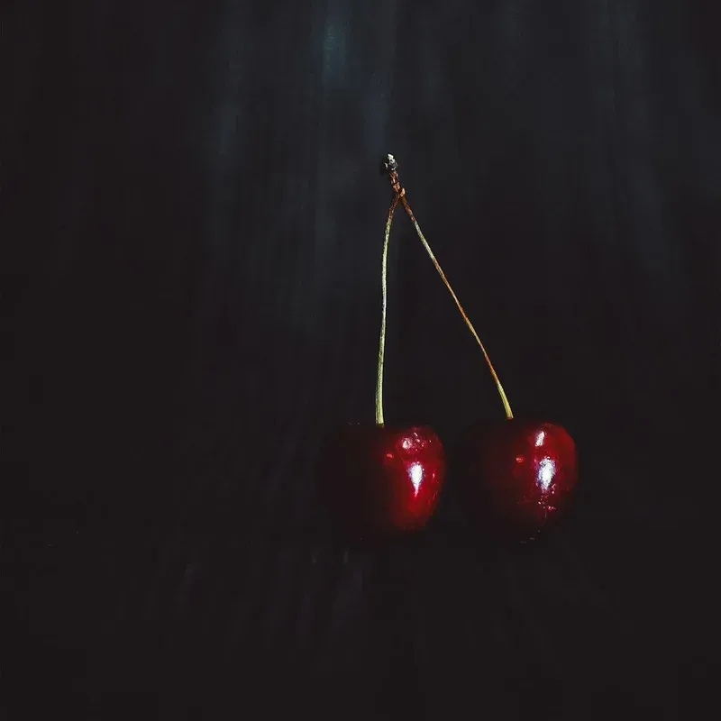 Two dark cherries on slate in dramatic chiaroscuro lighting